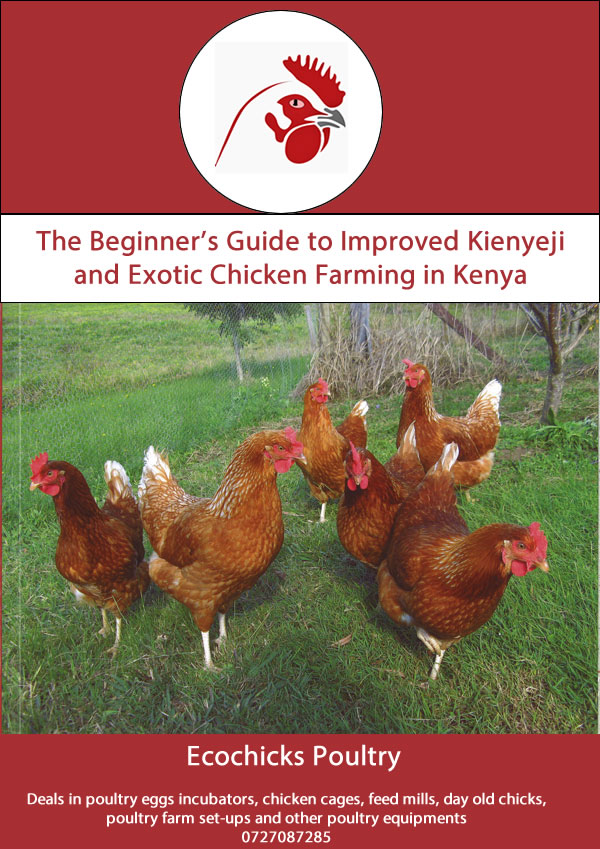 kienyeji chicken farming manual