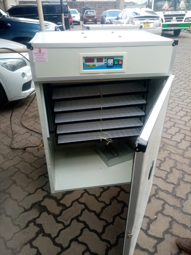 528 Eggs Solar Incubator