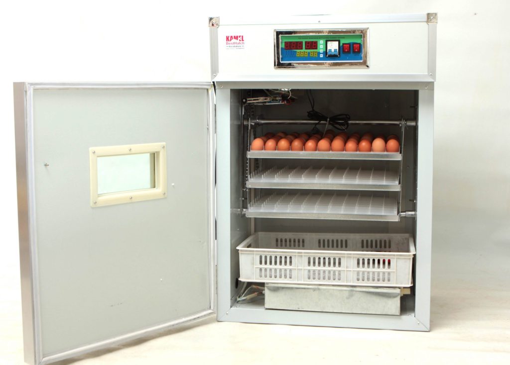264 eggs incubator