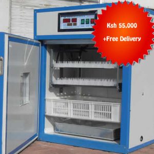 eggs incubators in Kenya