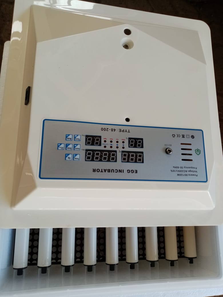 Digital 56 Egg Incubator - Image 4