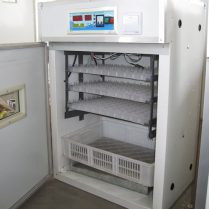 Eggs incubator