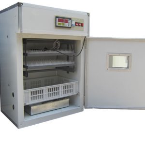 176 poultry incubator in Kenya