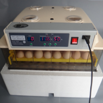 96 chiecken eggs incubator