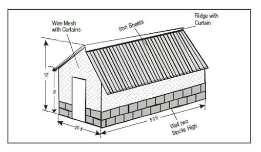 How to construct a chicken house