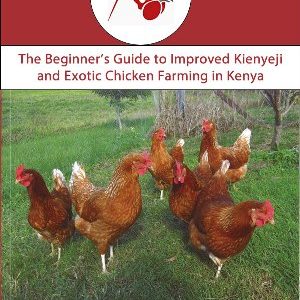 Beginner's Guide to Improved Kienyeji