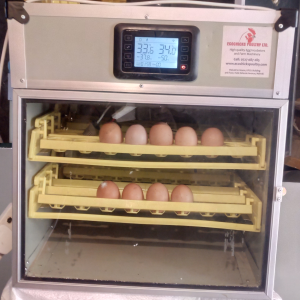 New Model 96 chicken hatchery egg incubator