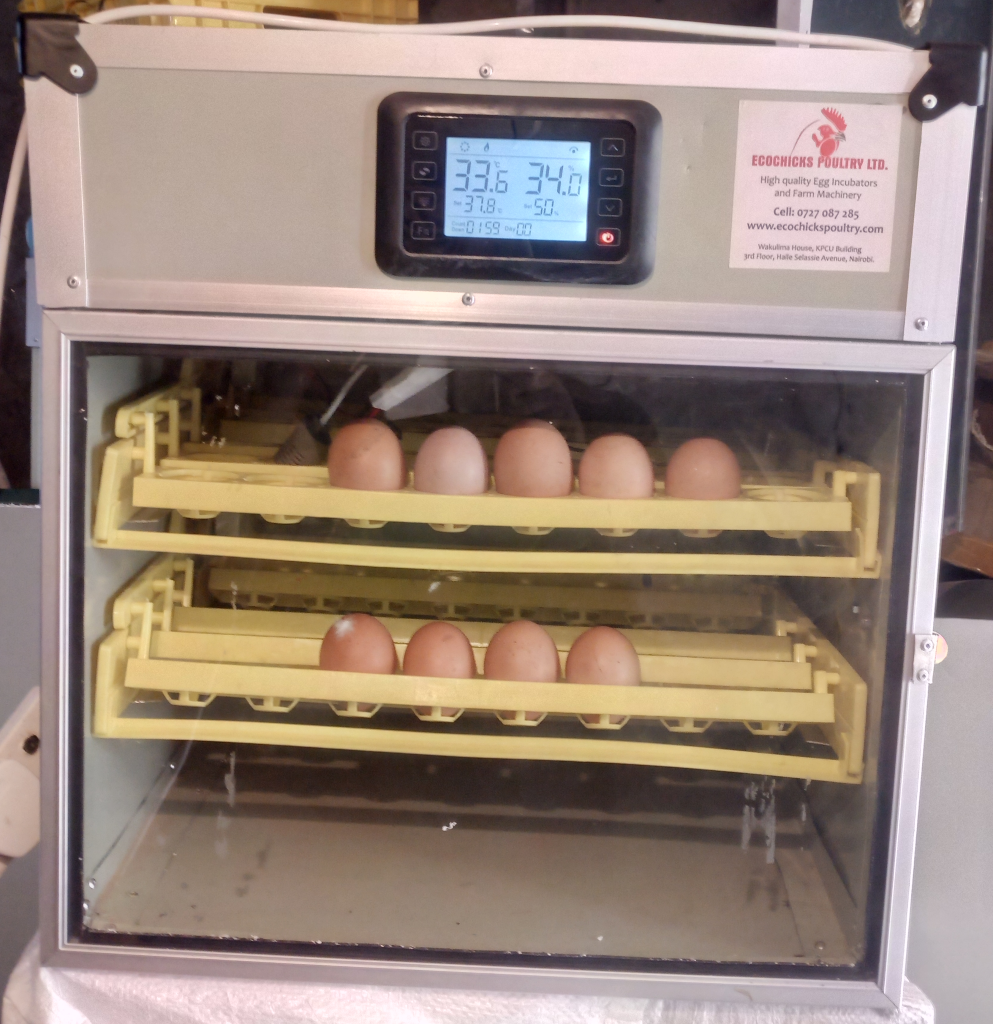 New Model 96 chicken hatchery egg incubator