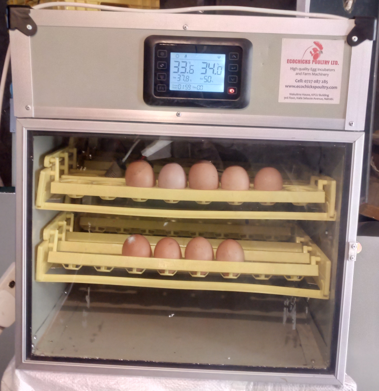 New Model 96 chicken hatchery egg incubator - Ecochicks ...