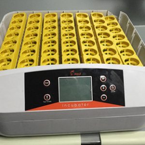 56 eggs incubator