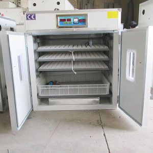 Incubator for haching poultry 264 capacity