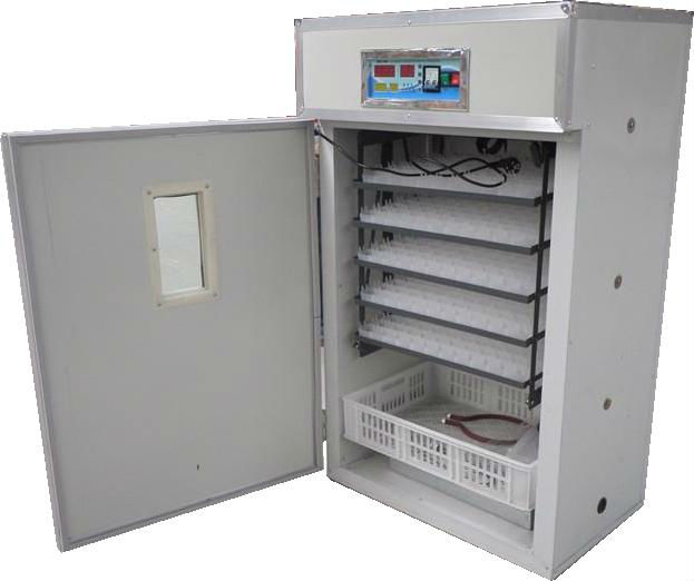 top rated automatic egg incubator