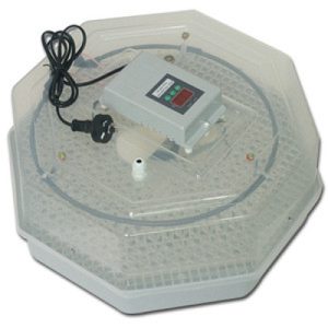 60 eggs incubator