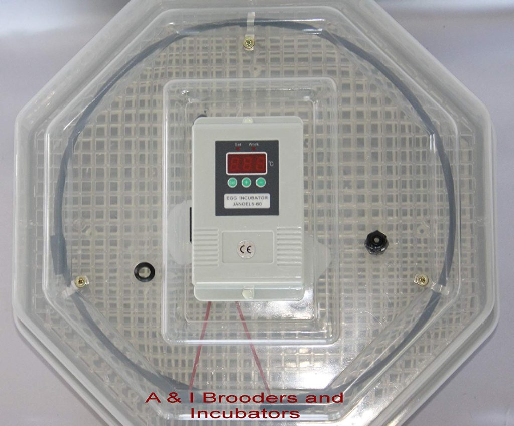 egg incubators for sale in kenya