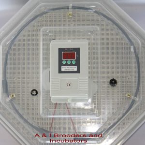 egg incubators for sale in kenya