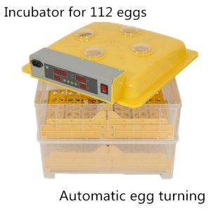 best automatic egg incubator