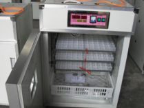 Hatching incubator for 264 capacity with auto functioning
