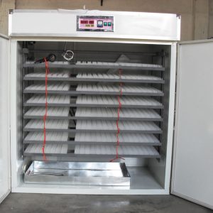 2112 capacity hatching incubator,brand new with digital operators