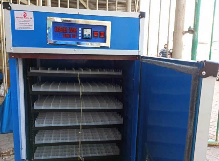 a-list-of-poultry-farming-equipment-and-their-uses