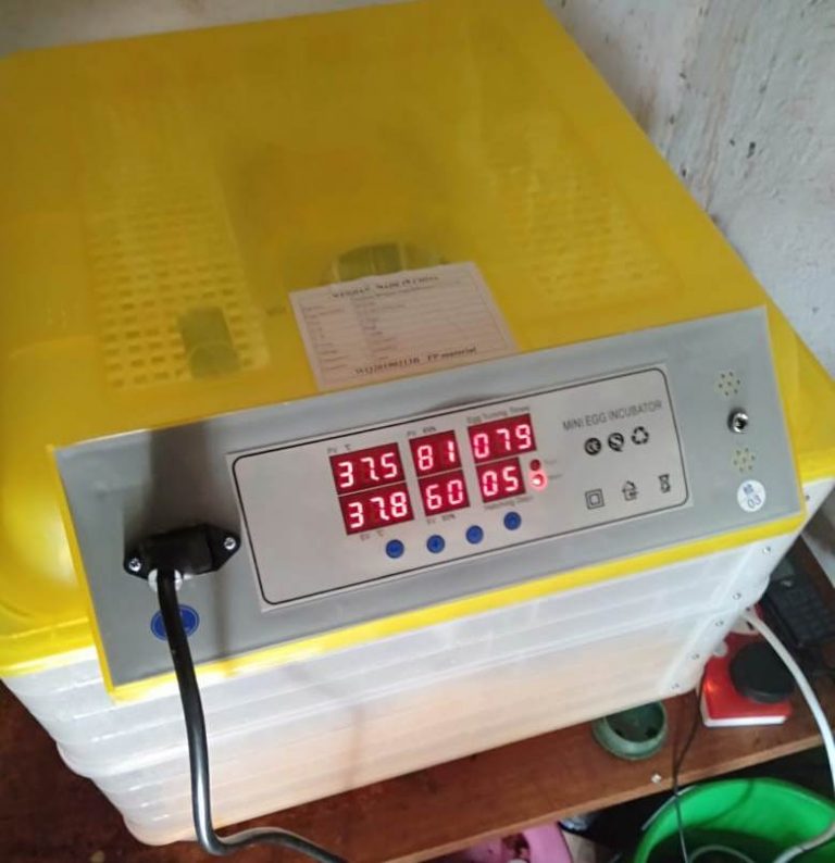 A List of poultry farming equipment and their uses