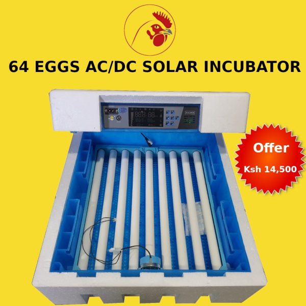 Digital Affordable 64 Eggs solar powered fully automatic hatchery