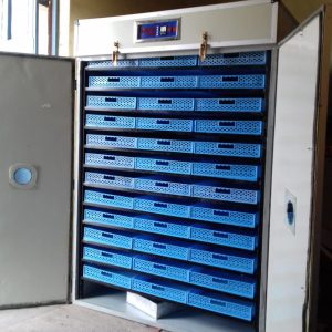 1500 egg incubator
