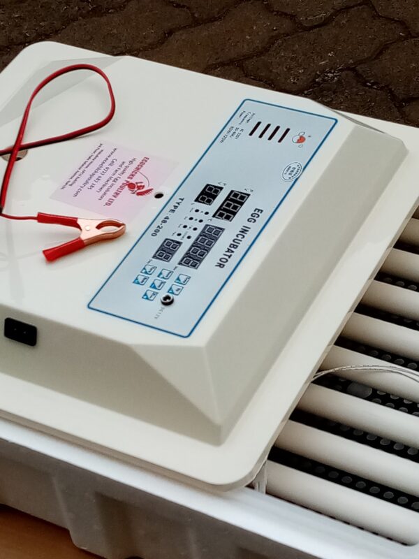 A New Intelligent Automatic 64 Eggs Incubator 80W 220V Ultrasonic Automatic Humidification Chicken Duck Brooding Machine