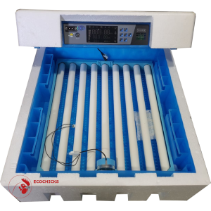 64 Eggs AC/DC Fully Automatic Hatchery