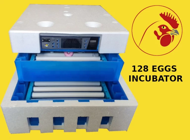 Eggs incubator wholesale price in Kenya Ecochicks 0727087285