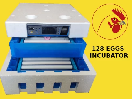 128 Automatic Eggs Solar Incubator