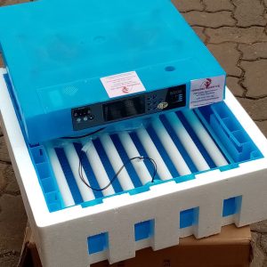 64 Eggs solar powered fully automatic hatchery