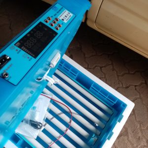 64 Eggs poultry Automatic Incubator