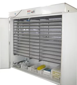 5000 Egg incubator Price in kenya