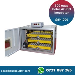 Supper-qualify 300 Eggs capacity fully automatic hatchery