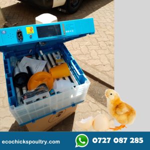 64 Eggs New Imported with digital Egg candler fully automatic hatchery