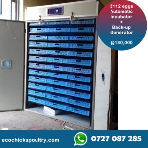 2112 Supper-Efficient fully automatic hatchery