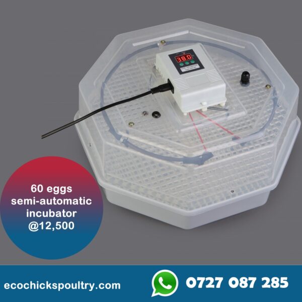 60 Eggs Semi-Auto Incubator