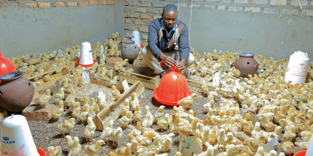 Poultry Farmers