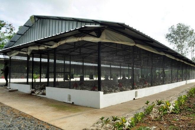 Modern Chicken House Images Ecochicks Poultry Ltd