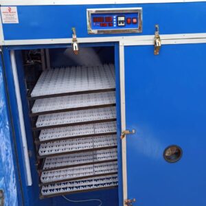 25,000 eggs automatic setter