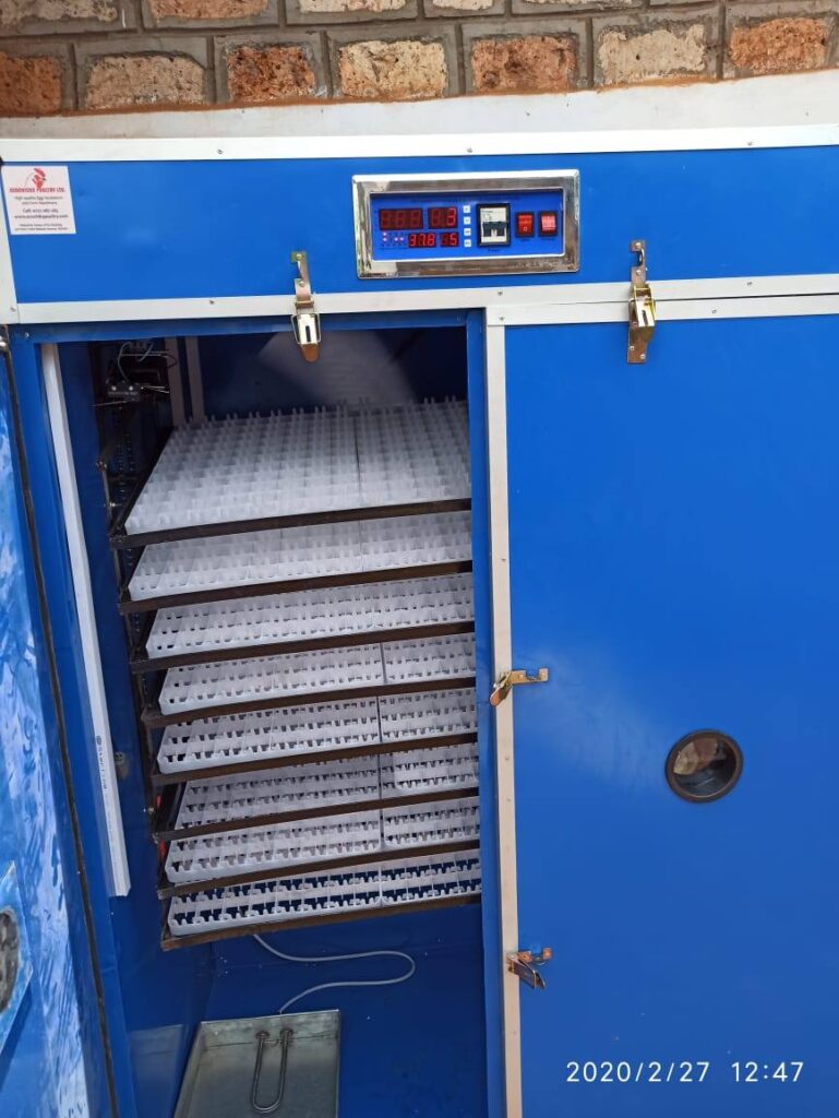25,000 eggs automatic setter