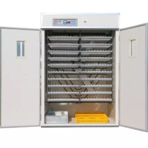 6000 eggs automatic commercial incubator