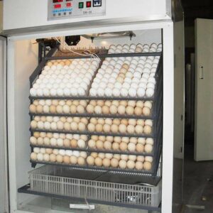 Farm machinery fertile chicken hatching eggs 1056 commercial incubator