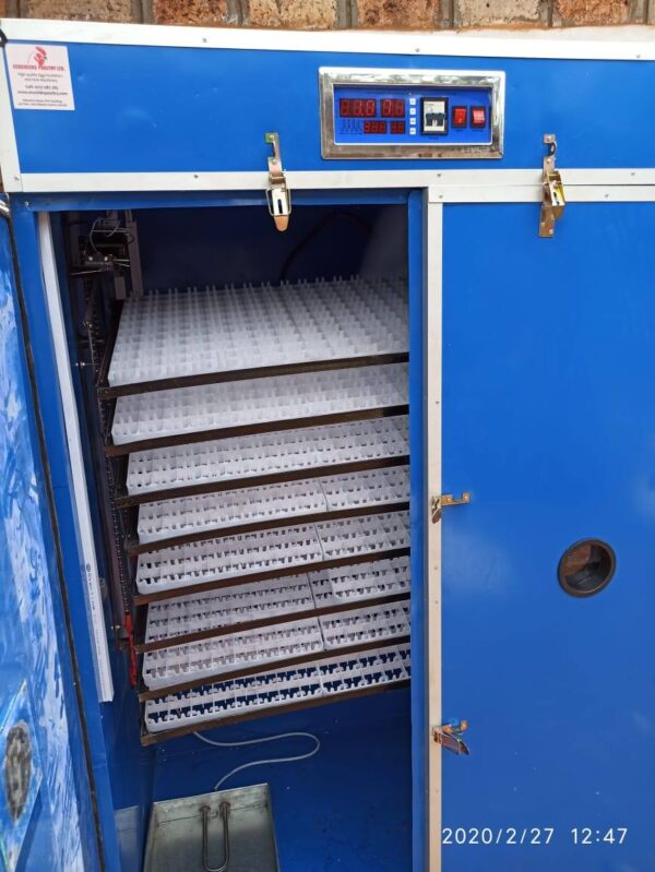 2000 eggs fully automatic incubator