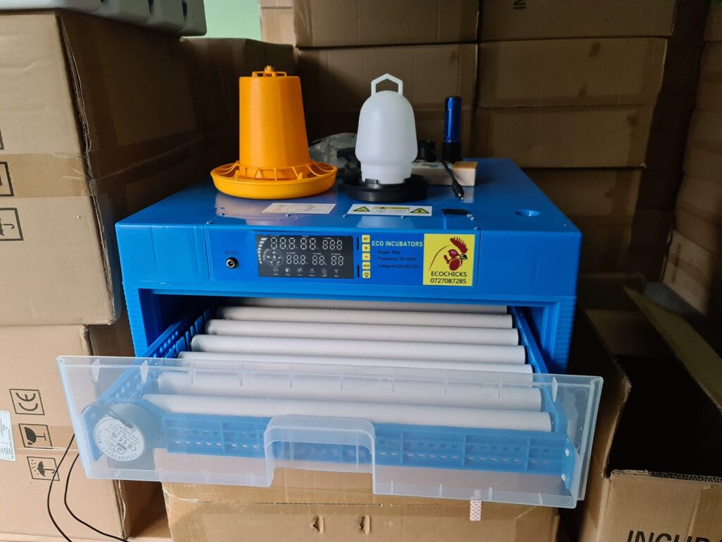 64 eggs solar egg incubator