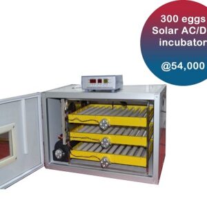 300 egg automatic incubator