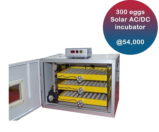 300 egg automatic incubator