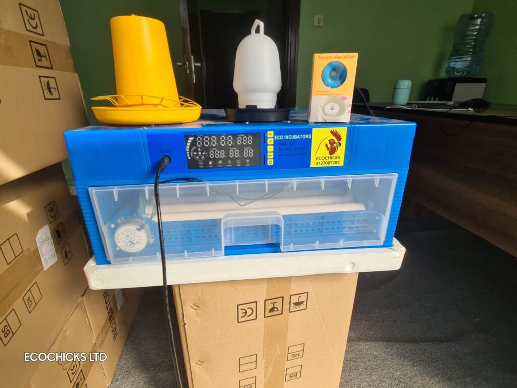 Egg Hatching Incubator, 64 Eggs Incubator with 360° Automatic Egg Turning and Humidity Control Household Mini Egg Incubator Breeder for Chicken, Ducks, Birds 110V/12V