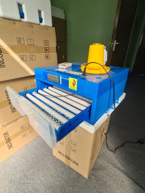 New model imported fully automatic 64 eggs incubator