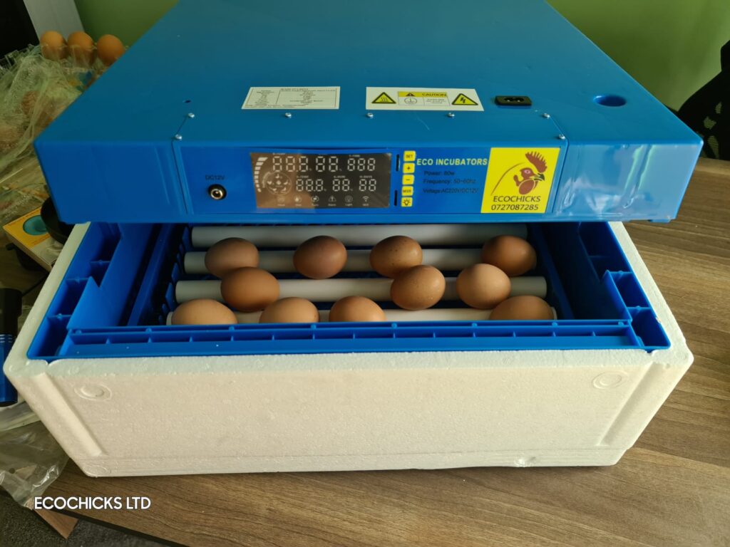64 digital brand new automatic egg incubator with LED display for temperature, humidity and count down